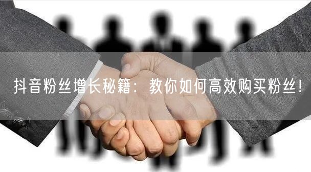 抖音粉丝增长秘籍：教你如何高效购买粉丝！